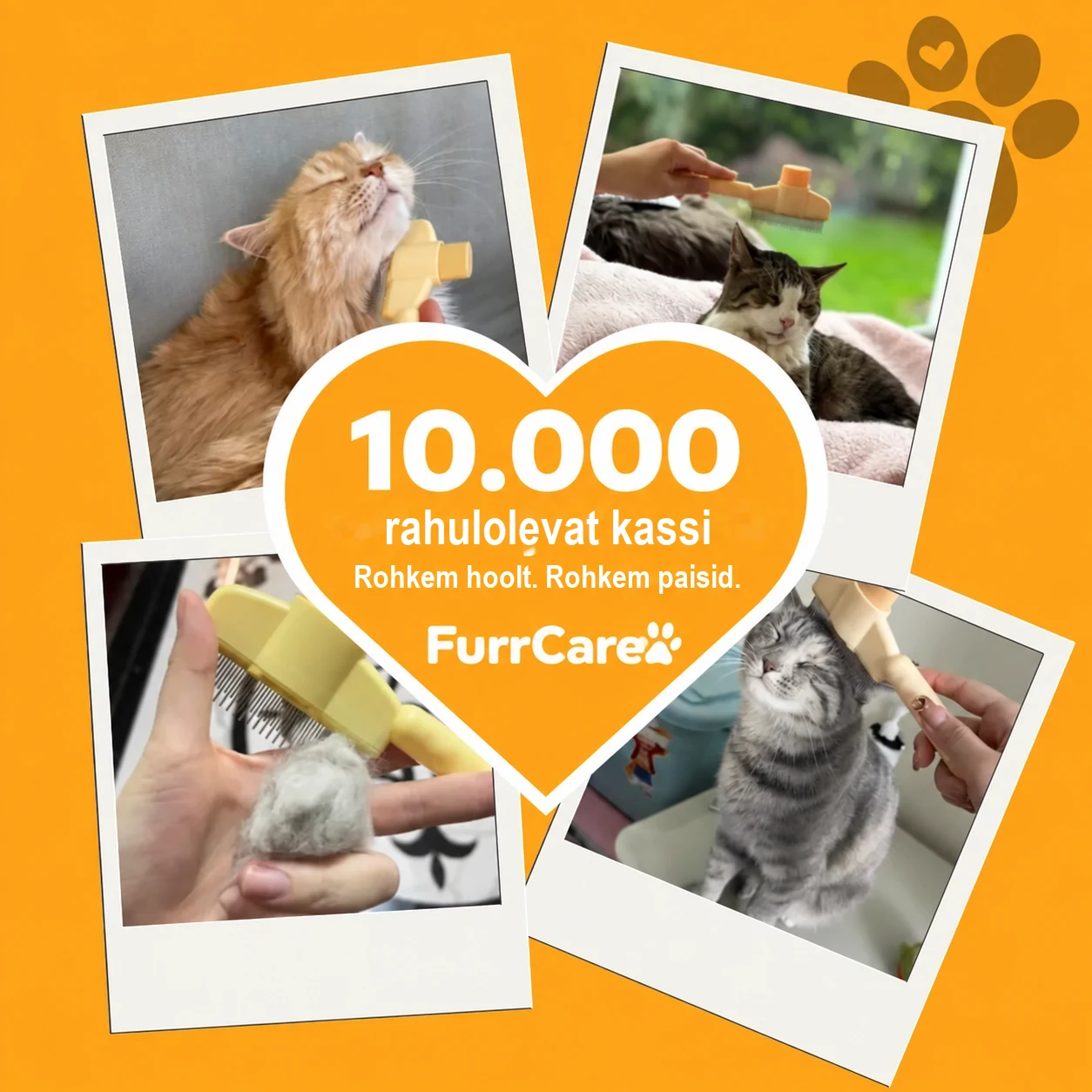 10.000 rahulolevat kassi